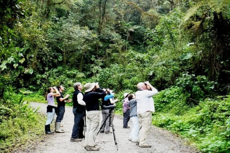 bird-wathchers-1500x1000