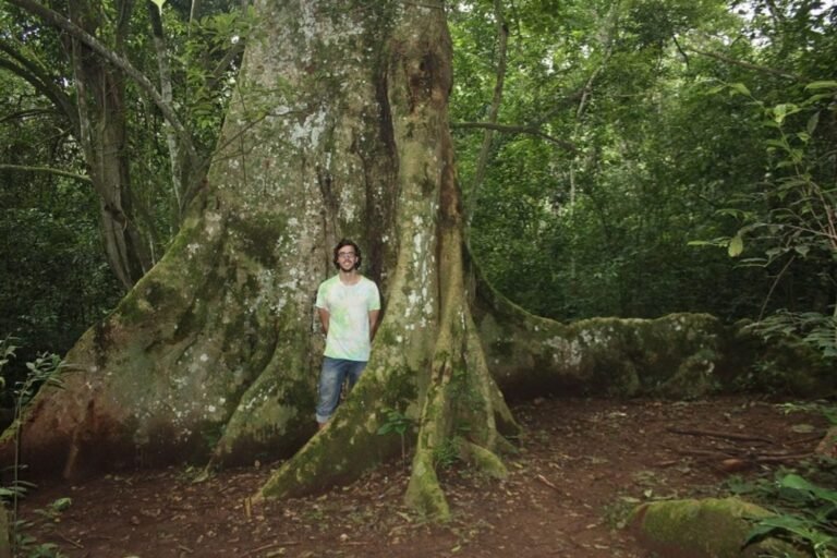 mabira-forest-1024x683-1500x1000