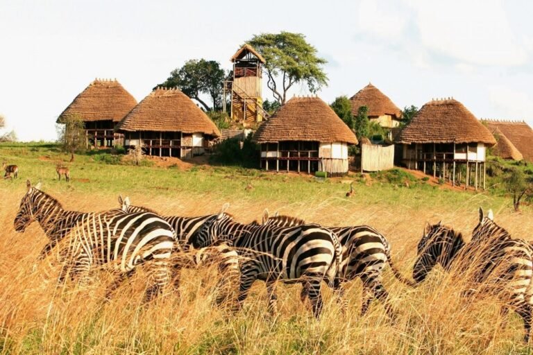 pakuba-view-1500x1000